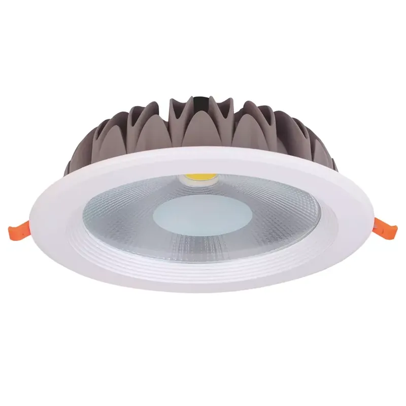 Comprar En Línea Downlight LED 30W 6500k