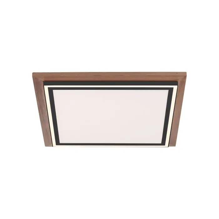 Rebajas Paul-Neuhaus PALMA Lámpara de Techo LED Crudo, Negro, 2 luces, Mando a distancia