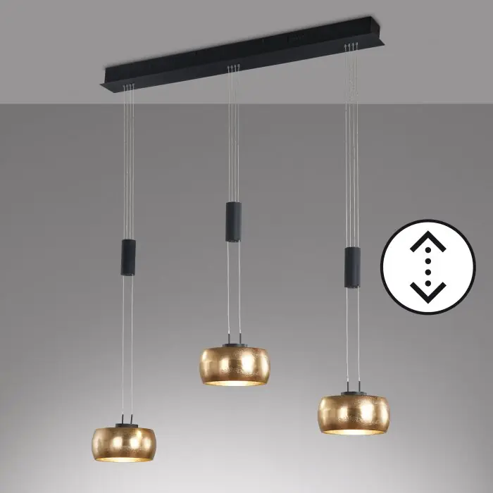 Ordena Ya Fischer & Honsel Colette Lámpara Colgante LED Negro, 3 luces