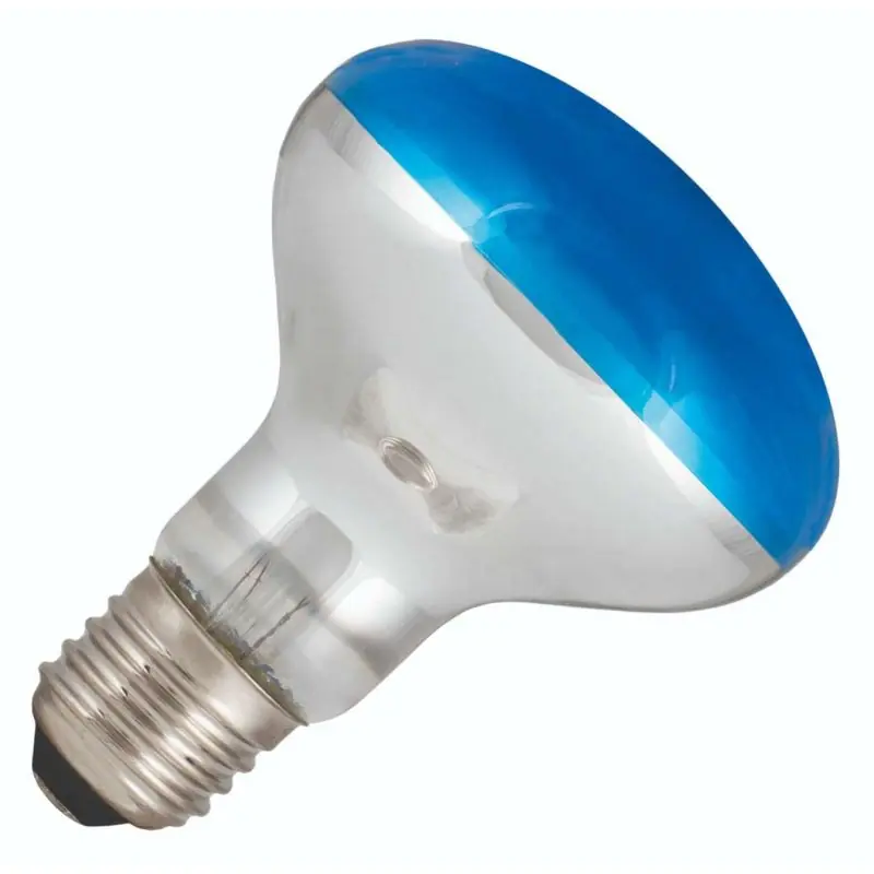 Más Vendido Bailey | Reflector LED | Casquillo grande E27 | 4W
