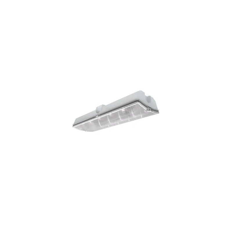 Ansell LED Portal Bulkhead Luz de emergencia Monarch 3W 123lm - 860 Luz de Día | IP65 - Autocomprobación - 18m Visible a una distancia de Oferta Flash