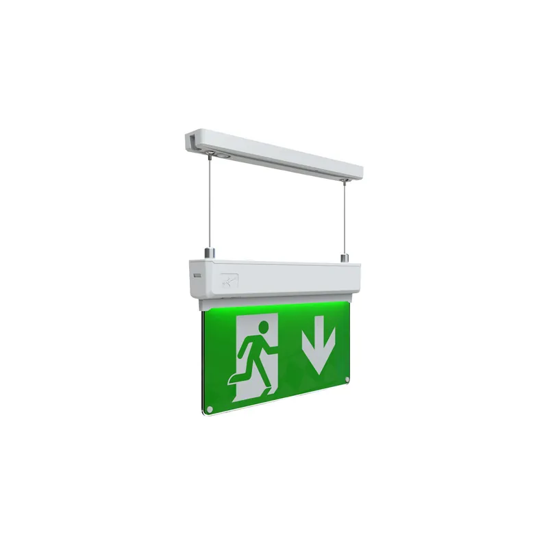 Ansell LED colgar Señal de salida de emergencia Kestrel Blanco 2W 14lm - 865 Luz de Día Oferta Especial