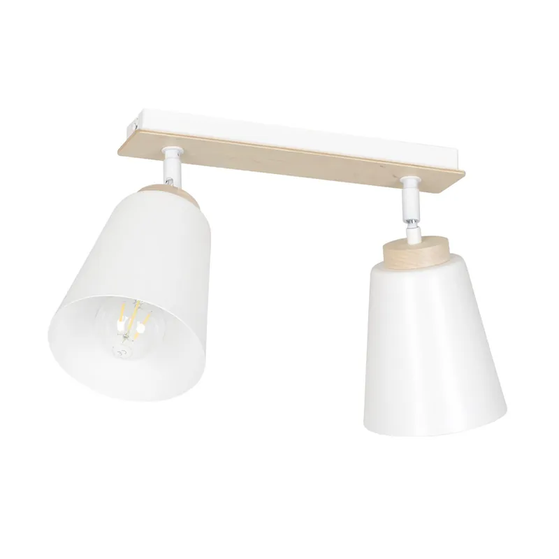 Marca Reconocida Emibig Luz de techo Atlas Acero Blanco | Apta para 2x E27 - Max 15W