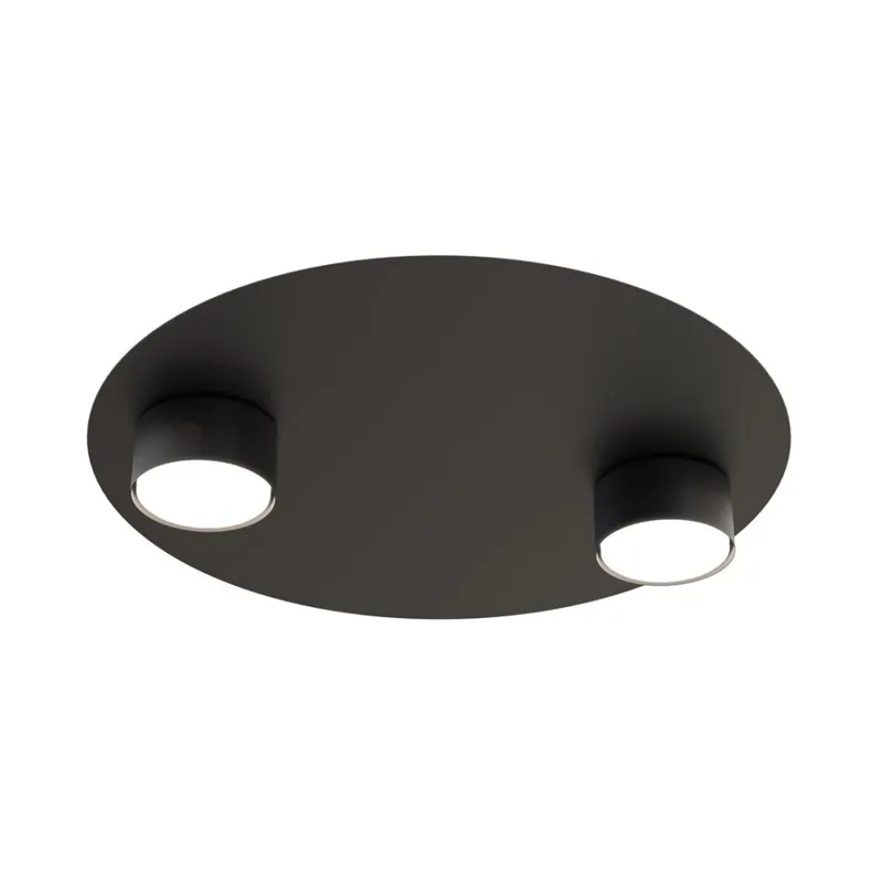 Favorito De Clientes Lámpara de techo Qeri negro (2 luces)