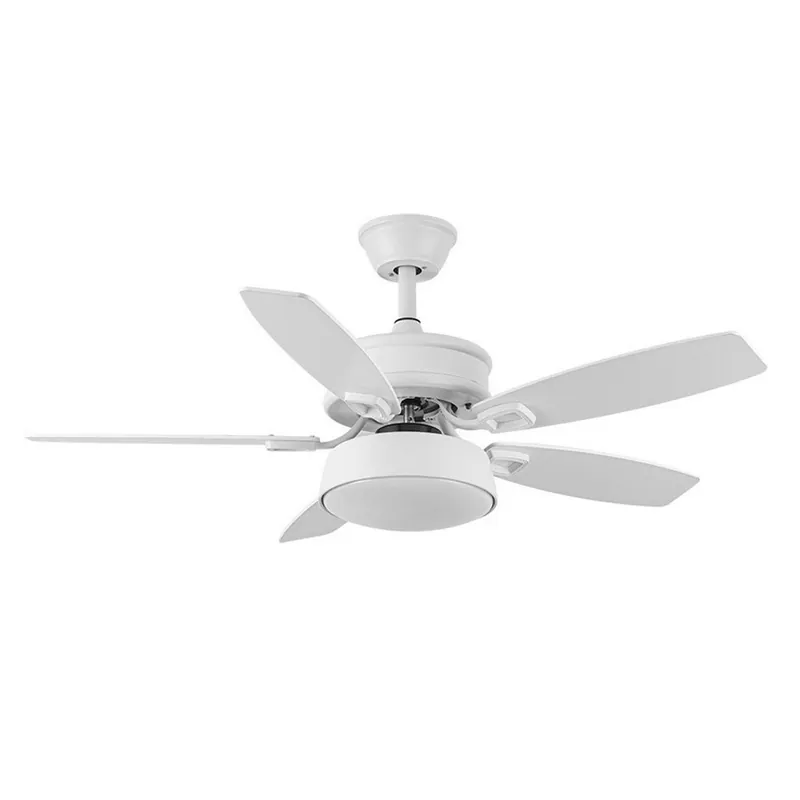 Ventilador de techo Led Braw CCT (30W) Última Oportunidad