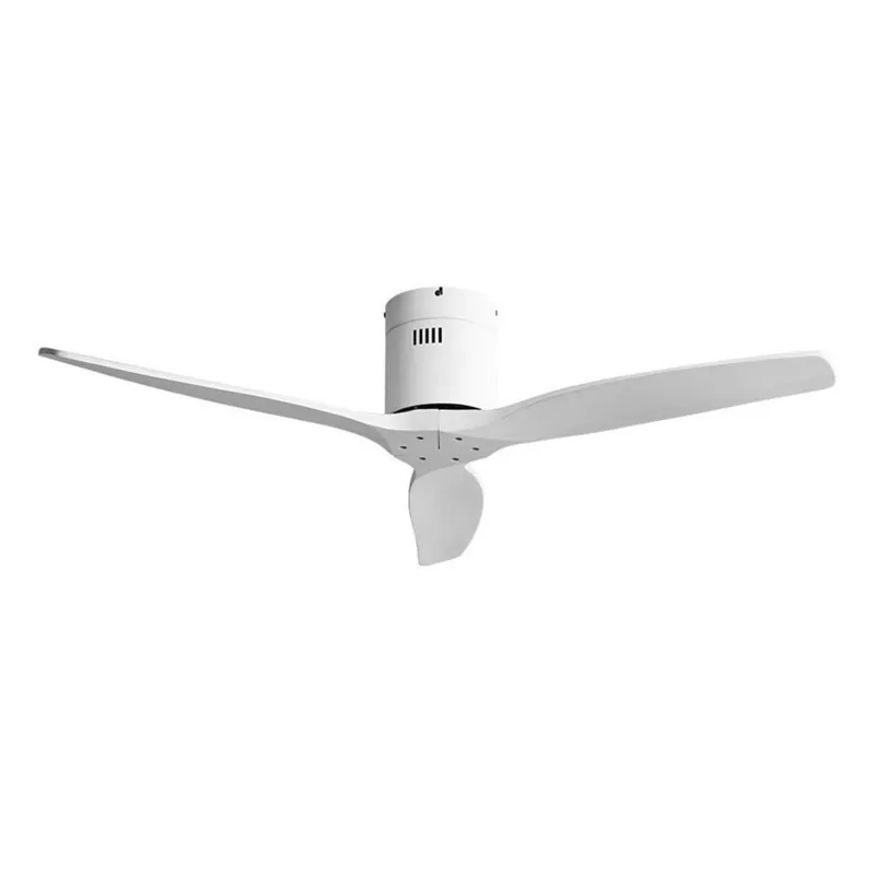 Ordena Ya Ventilateur de plafond Aguilon